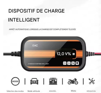 Chargeur et mainteneur de batterie EAFC 12V